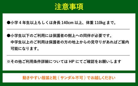 アドベンチャーコース体験チケット2名様 日田市 体験 [ARCI002]