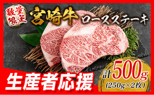 生産者応援 数量限定 宮崎牛 ロース ステーキ 2枚 牛肉 ビーフ 黒毛和牛 国産 ブランド牛 食品 おかず ディナー 人気 おすすめ 鉄板焼き 高級 贅沢 上質 ご褒美 お祝 記念日 イベント グルメ 枚数が選べる 宮崎県 日南市 送料無料_C119-24