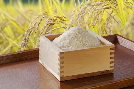 栃木県産コシヒカリ 「漢熟米」 栃木県産コシヒカリ 「漢熟米」10kg（5kg×2）