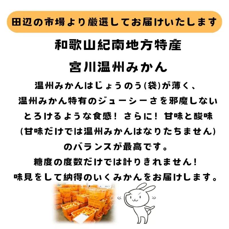 温州みかん 5kg【期間限定・先行予約・12/10まで】 / 和歌山県  田辺市 温州ミカン【mry016-2】
