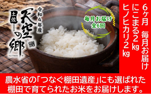 
★令和5年産★農林水産省の「つなぐ棚田遺産」に選ばれた棚田で育てられた棚田米 土佐天空の郷 2kg食べくらべセット定期便 毎月お届け 全6回
