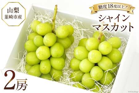 【2025年発送】ぶどう シャインマスカット 約550g×2 計約1.1kg 韮崎市産 [Inakakara 山梨県 韮崎市 20742821] フルーツ 果物 ブドウ 葡萄 山梨県産 産地直送 期間