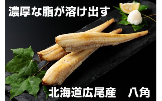 干物専門店かぶらぎ水産の広尾産八角一夜干し９尾セット(J0029)
