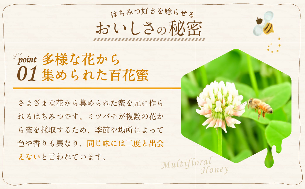 【6ヶ月定期便】MINOKAMO HONEY はちみつ 1本（500g）×6回 ｜ 藤井養蜂 蜂蜜 非加熱 百花蜜 国産 甘味料 定期便 美濃加茂市