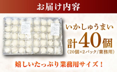 【業務用】いかしゅうまい（20個入り×2パック） / いかしゅうまい 焼売 / 佐賀県 [41AECT003]