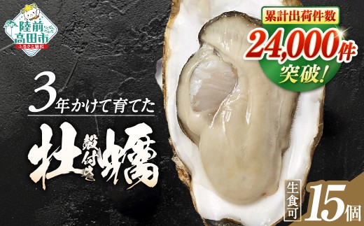 【12月前半発送】 高評価獲得 殻付き牡蠣 15個 生食可 3年育成 【 かき カキ 牡蠣 海鮮鍋 生食 大粒 国産 三陸産 広田湾 期間限定 マルテン水産 】 RT265