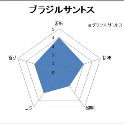 ふるさと納税 泉大津市 【自家焙煎珈琲】ブラジルサントス300g×2袋入り(中挽き)焙煎仕立ての珈琲豆をお届け! |  | 01