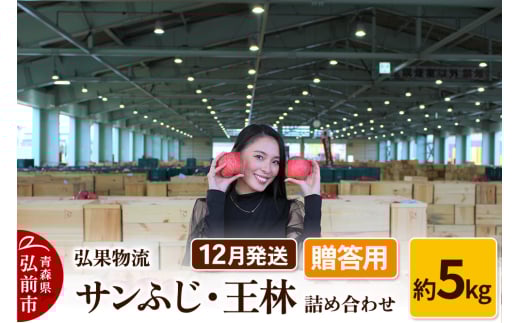 りんご【12月発送】贈答用 サンふじ・王林 詰め合わせ 約5kg