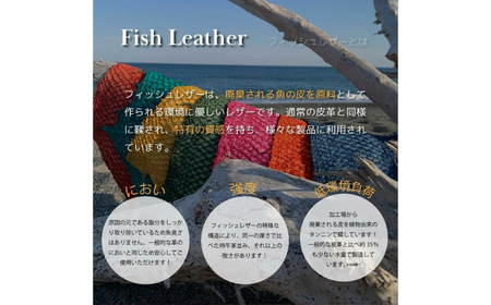 【Ivory Black】Ocean Leather 名刺入れ〈マダイ〉Mサイズ【興洋フリーズ株式会社】 [ATBX083-01]