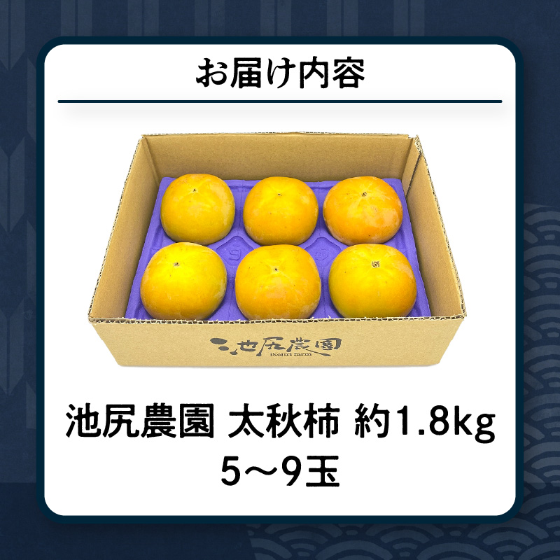 【10月発送】池尻農園 太秋柿 5玉～9玉 約1.8kg_柿 甘柿 太秋柿 5玉 ～ 9玉 約 1.8kg 種が少ない シャキシャキ 食感 さっぱり 果肉 なめらか 多汁 高糖度 おいしい 果皮 条紋