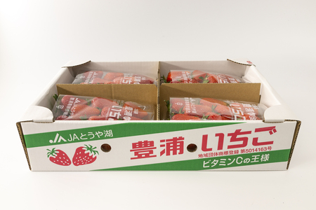 【2026.5月以降順次出荷】【北海道内限定配送】いちご「けんたろう」250g×4パック 【 ふるさと納税 人気 おすすめ ランキング 果物 いちご苺 国産いちご 国産苺 とちおとめセット けんたろう