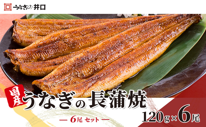 うなぎ ITQI優秀味覚賞受賞 長蒲焼 120g × 6尾 セット うなぎの井口 蒲焼 国産 国産うなぎ うなぎの蒲焼 土用の丑の日 丑の日 魚 魚介 魚介類 惣菜 おかず 丼 小分け ギフト 贈答 鰻 うなぎ蒲焼 真空パック 冷蔵 浜松 浜松市 【配送不可：離島】