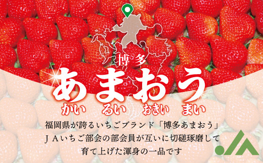 【2027年2月より順次発送】博多あまおう4パック 約1kg[H2243]