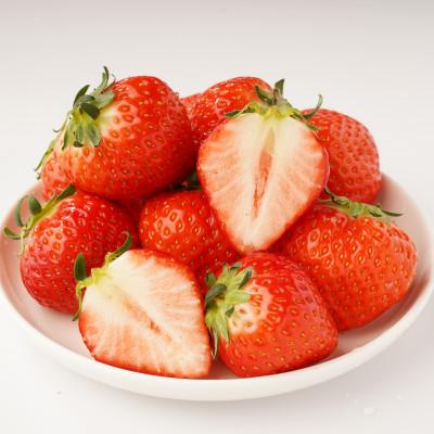 ふるさと納税 三豊市 【発送月固定定期便】三豊市特選こだわりフルーツ全12回 |  | 03