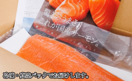 サーモン 300g サーモン 鮭 サーモン 国産 サーモン 魚 サーモン 鮮魚 サーモン 海鮮 サーモン 産地直送 サーモン 刺身 サーモン 讃岐さーもん サーモン さけ サーモン カルパッチョ サー