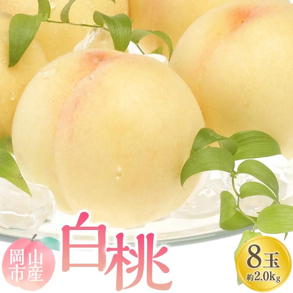 桃 2027年  白桃 8玉 合計約2.0kg もも モモ 岡山市産 国産 フルーツ 果物 ギフト