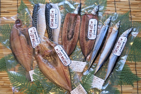 fn-26-011 岩手釜石 こだわり干物詰合せ 永野商店 さんま ほっけ かれい いか イカ さば 鯖 サバ 赤魚
