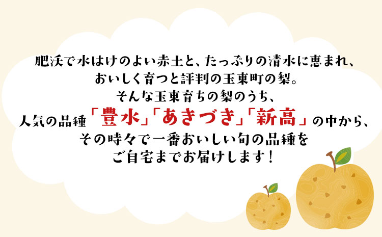 『ゆみちゃん農園』の玉東梨 約5kg 7玉-16玉前後 《2026年8月下旬-10月上旬頃出荷》熊本県玉名郡玉東町 梨 なし 果物 フルーツ 旬の梨