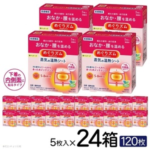 SF0220　めぐりズム 蒸気の温熱シート【下着の内側面に貼るタイプ】　120枚(5枚入×24箱)