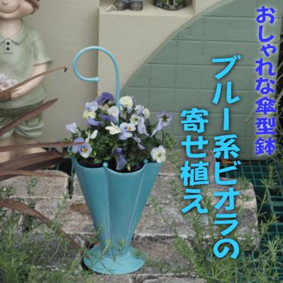 ふるさと納税 朝倉市 傘型アイアン鉢・ビオラの寄せ植え(ブルー系)