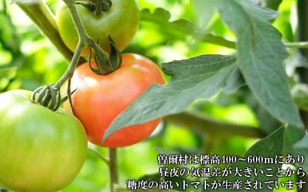 トマトジュース 無塩トマトジュース //【極濃搾り】曽爾高原特産トマトの無添加100％トマトジュース