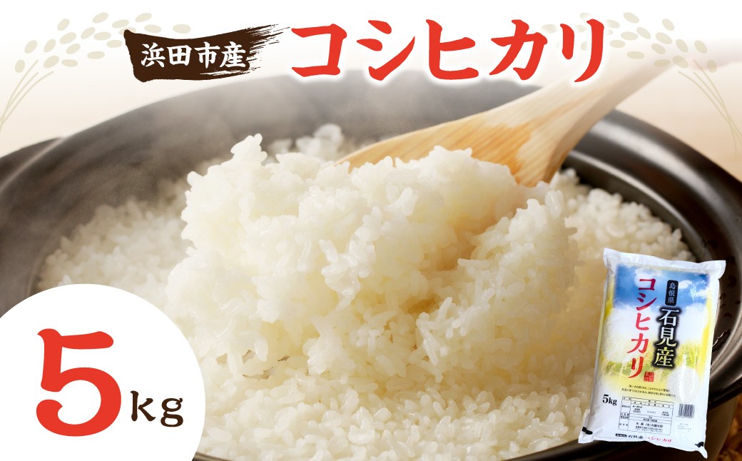 
                  浜田市産コシヒカリ5kg(5kg×1袋) 米 お米 コシヒカリ ご飯 新生活 浜田市産 【197_1967】
                