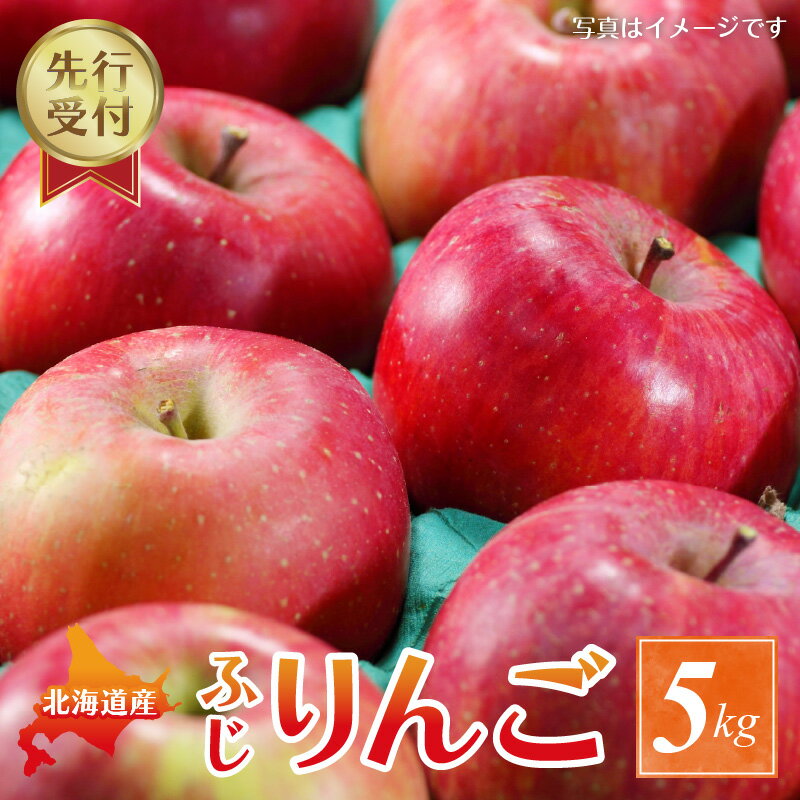 【ふるさと納税】【2025年11月下旬以降発送分先行予約】りんご ふじ 5kg 果物 アップル フルーツ ジュース 飲料 果物 スイーツ ジャム アップルパイ フルーツ スムージー ヨーグルト ジュース タルト お菓子作り ケーキ 飲み物 お取り寄せ 先行予約 北海道 余市町 送料無料