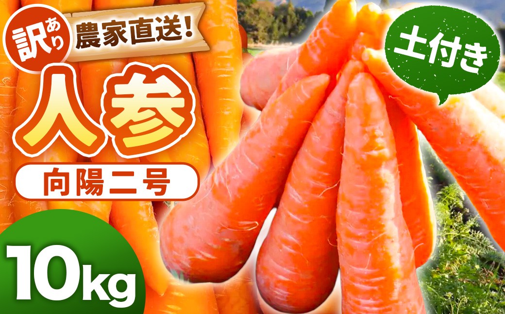 
                  【先行予約】【訳あり】農家直送！ 土付き 人参 （向陽二） 10kg 【2026年12月発送予定】 にんじん ニンジン ZS-792
                