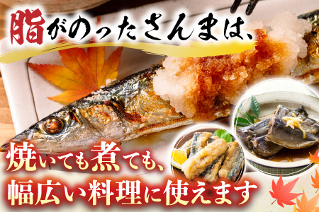 甘塩紅鮭5切×4P、冷凍生さんま5尾×4Pセット C-30015