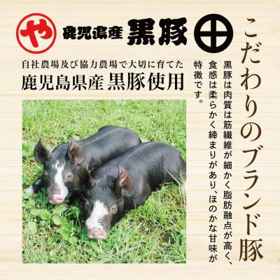 ふるさと納税 南さつま市 【鹿児島県産】黒豚の炭焼き焼豚6本セット |  | 02