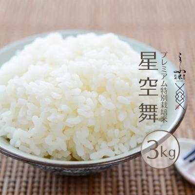 ふるさと納税 江府町 星空舞 3kg 奥大山プレミアム特別栽培米研究会 奥大山江府米 精米 3キロ 0864