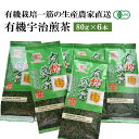 【ふるさと納税】有機宇治煎茶6本入 〈 有機 オーガニック 無農薬 茶葉 お茶葉 お茶 茶 有機宇治茶 宇治茶 煎茶 緑茶 産地直送 飲料 加工食品 〉　お茶 緑茶 加工食品