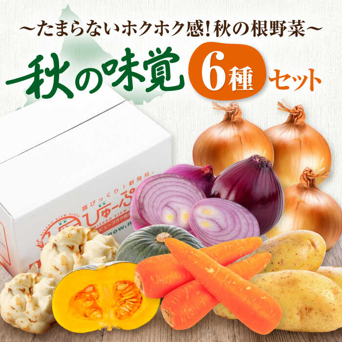 【ふるさと納税】先行予約 数量限定 北海道産 秋のうまいもん 6種セット 《喜茂別町》【ニセコビュープラザ直売会協同組合】 先行予約 セット 詰め合わせ 秋野菜 冬野菜 季節の野菜 玉ねぎ たまねぎ じゃがいも 北海道 おすすめ [AJAH024] 13000 13000円