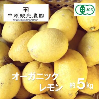 ふるさと納税 大崎上島町 中原観光農園のオーガニックレモン 約5kg [有機JAS認証]