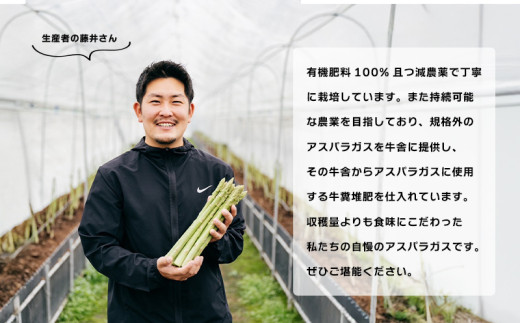 グリーンアスパラガス さぬきのめざめ 500g 朝採れ 鮮度バツグン 有機肥料 早朝収穫 人気 シャキシャキ 食感 新鮮 瑞々しい 甘い 歯ごたえ ロングサイズ  アスパラガス 農場 収穫 特別品質 高品質 希少品質 美しい フレッシュ 品種改良 減農薬 野菜 旬 丸亀市 藤井農園