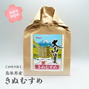 【ふるさと納税】鳥取県産 きぬむすめ 5kg / 10kg / 20kg 新米 令和6年産 5キロ 10キロ 20キロ 米 お米 おこめ こめ コメ 白米 精米 玄米 岩崎米穀