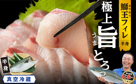 『旅サラダ』で紹介ぶりの王様「 鰤王 」 フィレ 半身 (約1.2～1.5kg・フィレ1枚) 産地直送 新鮮 旨味が抜群の 長島町 特産品 ブランド ぶり 鰤 ブリ 切り身 真空 冷蔵 刺身 ぶりしゃぶ しゃぶしゃぶ 魚 魚介 人気 ランキング 【JFA】_jfa-7006
