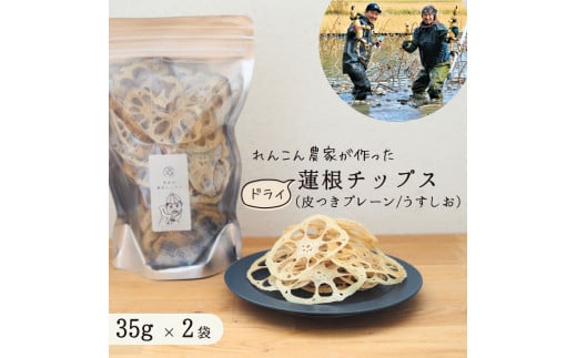 レンコン 農家が作った ドライ 蓮根チップス 食べ比べセット （ 皮つきプレーン  /  うすしお  ） レンコンチップス れんこんチップス 乾燥野菜
