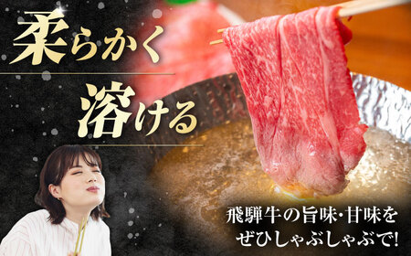 【6回定期便】飛騨牛 牛しゃぶ用赤身 600g 白川町 / 浅井商店[AWBJ019] 飛騨牛