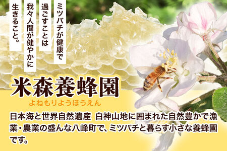 はちみつ りんご蜂蜜 国産 500g×1本 秋田県産100％ 秋田白神の天然蜂蜜 米森養蜂園 [はちみつ 天然 りんご蜂蜜 500g1本 蜂蜜 国産 ハチミツ ハニー 養蜂 白神山地 自然 コク フル