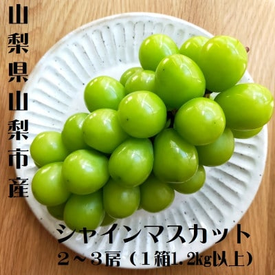 
＜2025年発送＞山梨市産　シャインマスカット　2～3房(1.2kg以上)【1465064】
