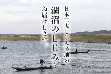 涸沼産 冷凍しじみ 大粒 1kg（100g×10p）【石岡市・水戸市共通返礼品】 しじみ シジミ 蜆 国産 小分け 砂抜き不要 冷凍 冷凍保存 海鮮 貝 魚貝類 魚介類 魚貝 魚介 味噌汁 みそ汁 酒