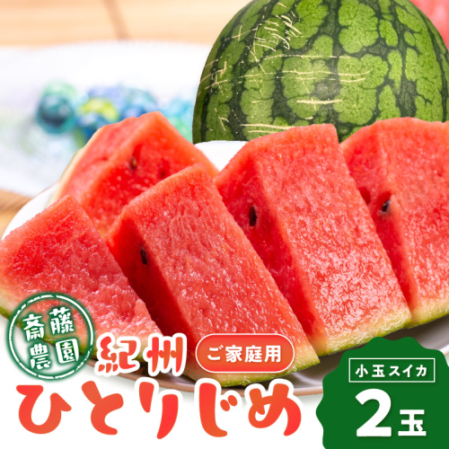 ≪家庭用≫紀州ひとりじめ(小玉スイカ) 2玉（M～Lサイズ） 3kg程度 【配送不可地域：北海道・青森・秋田・岩手・沖縄・離島】