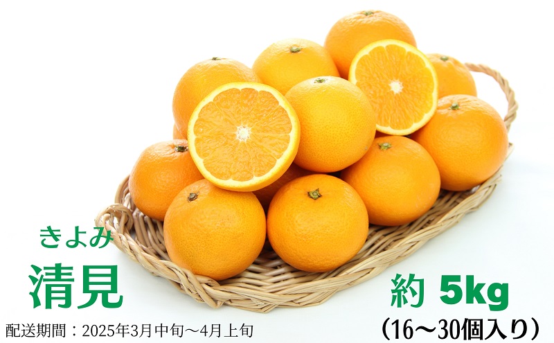 清見　約5kg 果物類 柑橘類 フルーツ みかん
