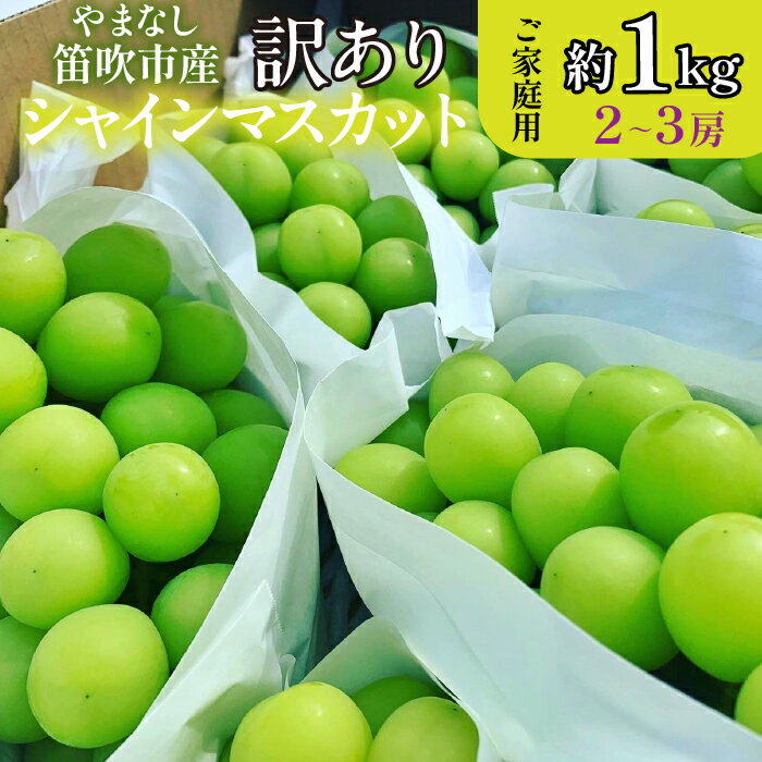 【ふるさと納税】 【2026年発送★先行予約】山梨県笛吹市産　シャインマスカット 優等品 約1kg 2〜3房 【ご家庭用】 ふるさと納税 笛吹市 国産 人気 期間限定 ぶどう ブドウ 葡萄 プレゼント 贈り物 ギフト 旬 果物 フルーツ 山梨県 送料無料 105-025