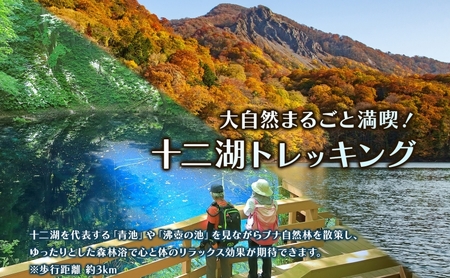 アオーネ白神十二湖　ペア宿泊券（1泊2食付）十二湖トレッキング体験付き