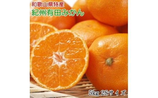 
                  【2026年先行予約】【秀品】 和歌山 有田みかん 5kg（2Sサイズ）_ZD7013
                