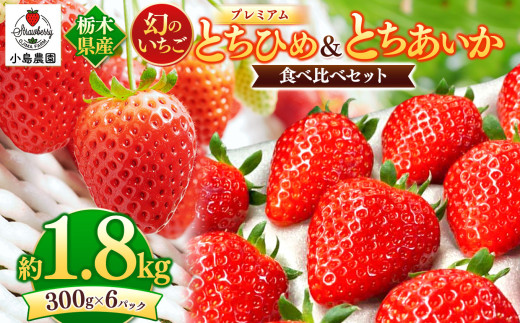 とちひめ とちあいか 食べ比べ プレミアム 幻のいちご｜1800g 希少 柔らかい 果肉 大粒 ジューシー 果汁 いちご 苺 特産品 ストロベリー strawberry スイーツ お取り寄せ ご褒美 贈答用 プレゼント ご褒美 栃木県 真岡市