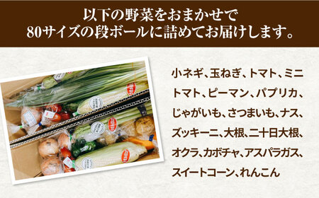 【野菜たっぷり♪】白石町産季節のおまかせ野菜詰め合わせセット【株式会社いち】[IDD002]