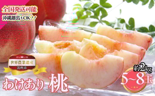 ＜25年発送＞山梨県笛吹市産　わけあり桃　約2kg　5玉～8玉 223-002